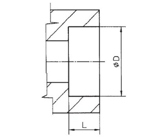 Socket Weld
